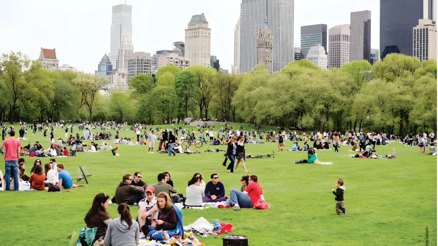 A large group of people sitting on top of a lush green field in Central Park, New York City. There are bags, clothes, and other objects scattered around the field, and in the background there are trees, buildings, and a clear blue sky.