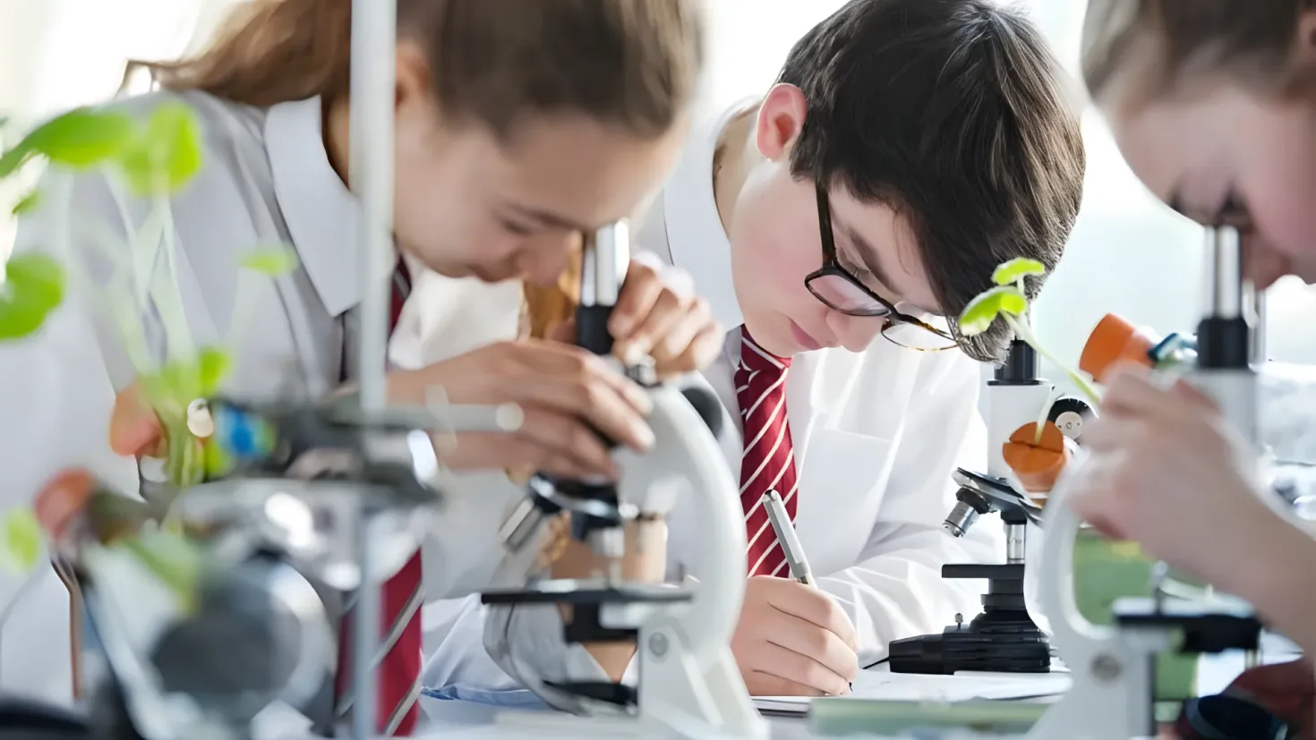 Three children in lab coats looking through microscopes in a laboratory. On the table in front of them are various objects, and in the background there is a plant.