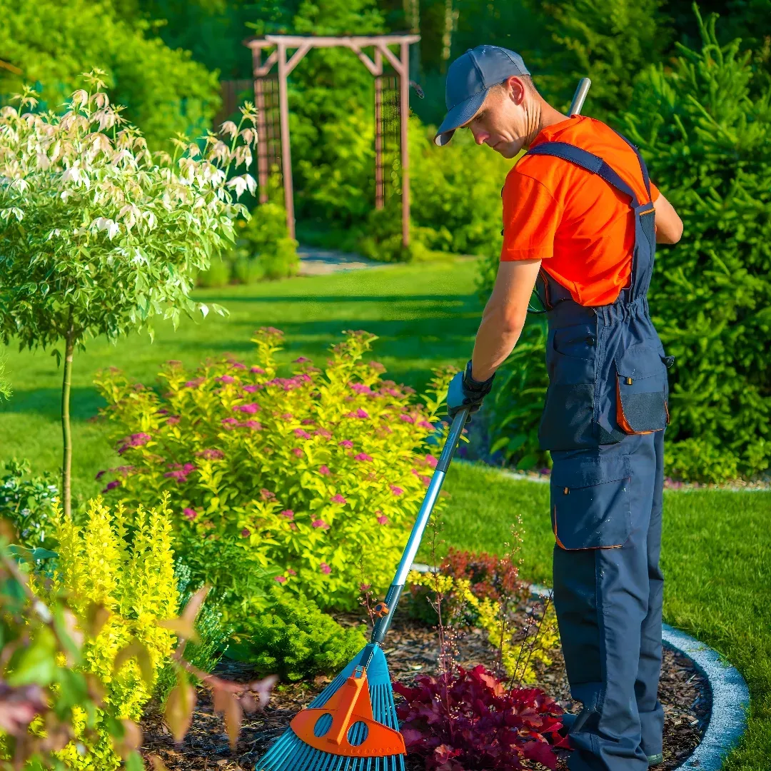 A man wearing an orange t-shirt, blue pants, and a cap, holding a rake in his hand and sweeping the grass in a garden surrounded by plants and trees. In the background, there is a wooden structure.