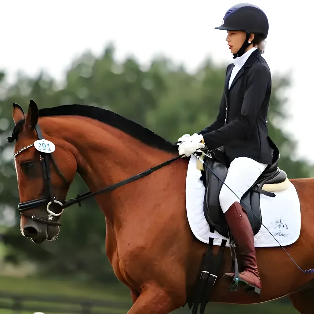 A woman riding on the back of a brown horse. She is wearing a black and white dress and a helmet, and the background is filled with trees and a clear blue sky.