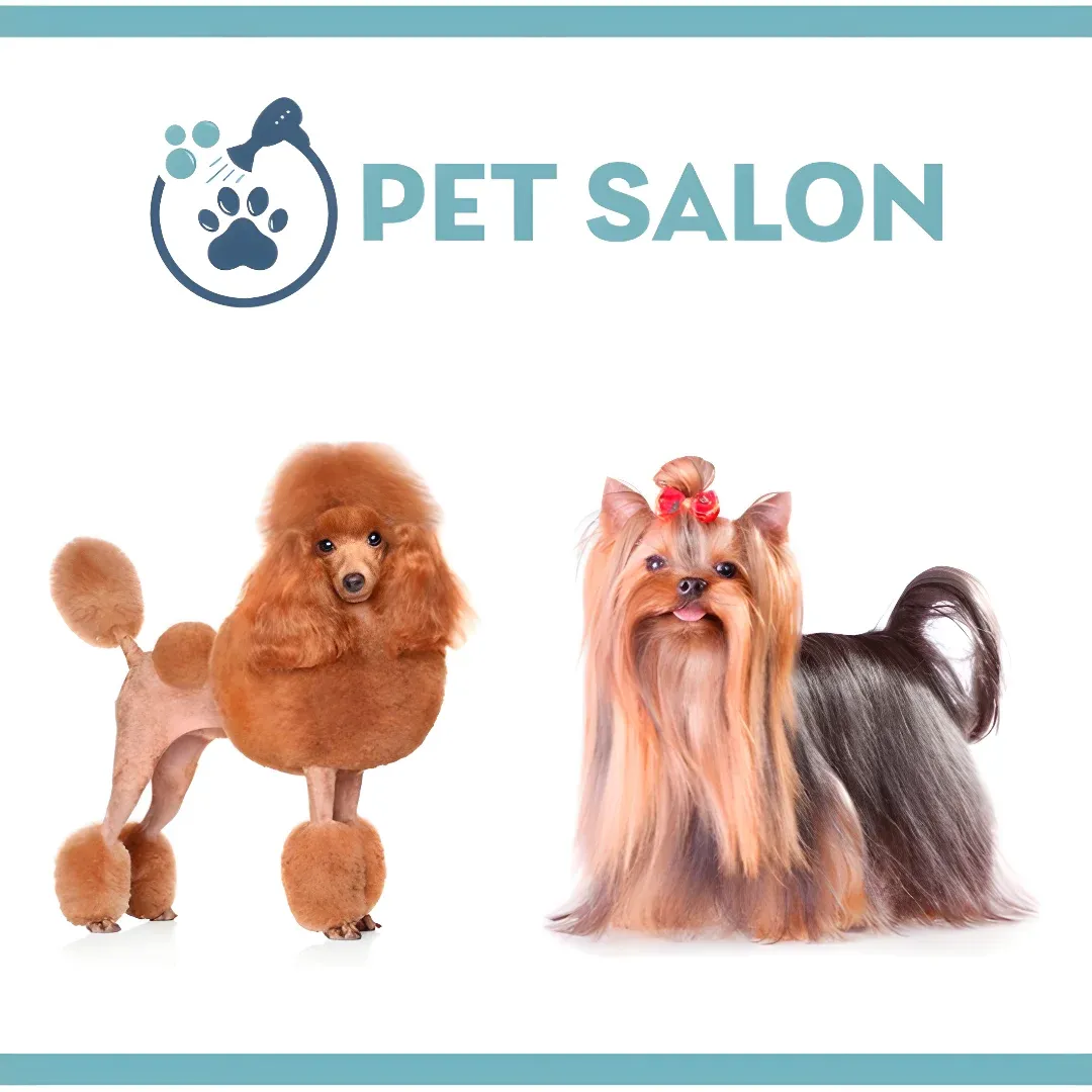 Two dogs, one in brown and one in black, standing next to each other in a pet salon. The background is white and there is a logo and text at the top of the image.