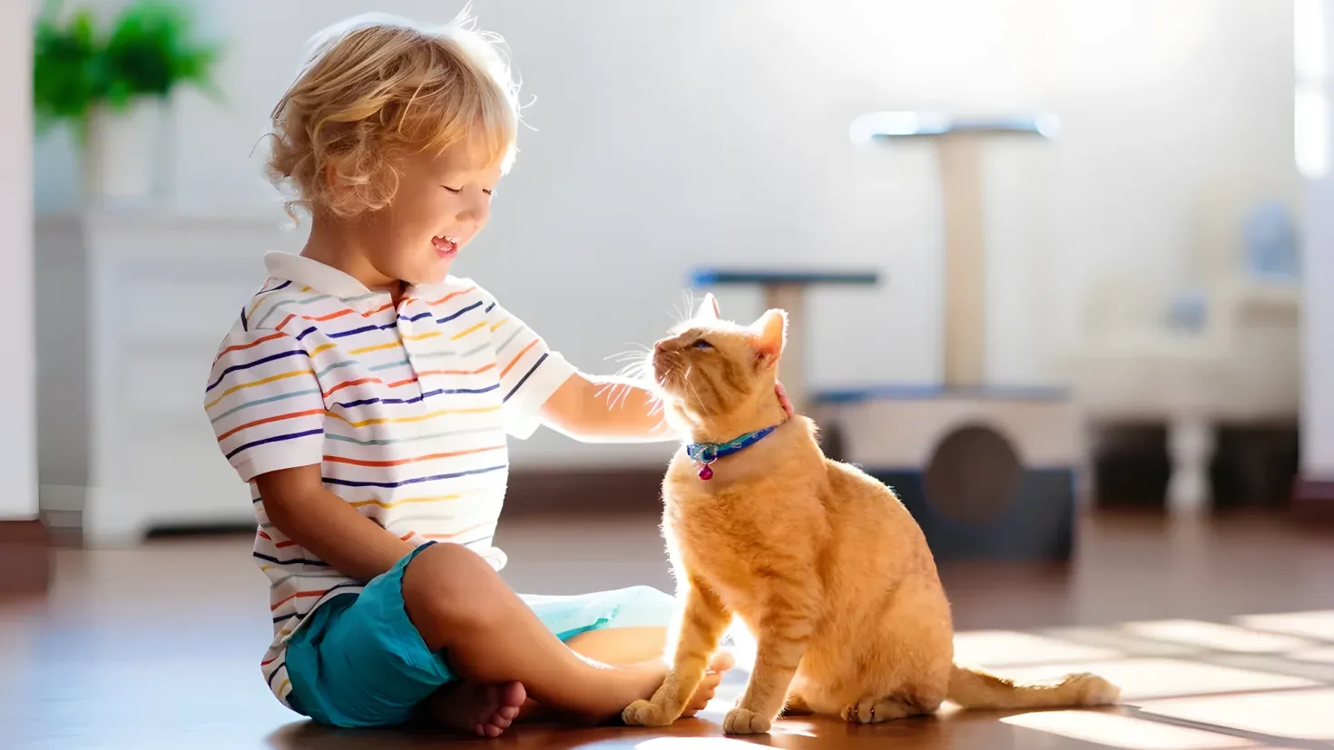 A little boy sitting on the floor petting an orange cat. The background is slightly blurred, and there is a plant in the corner of the room.