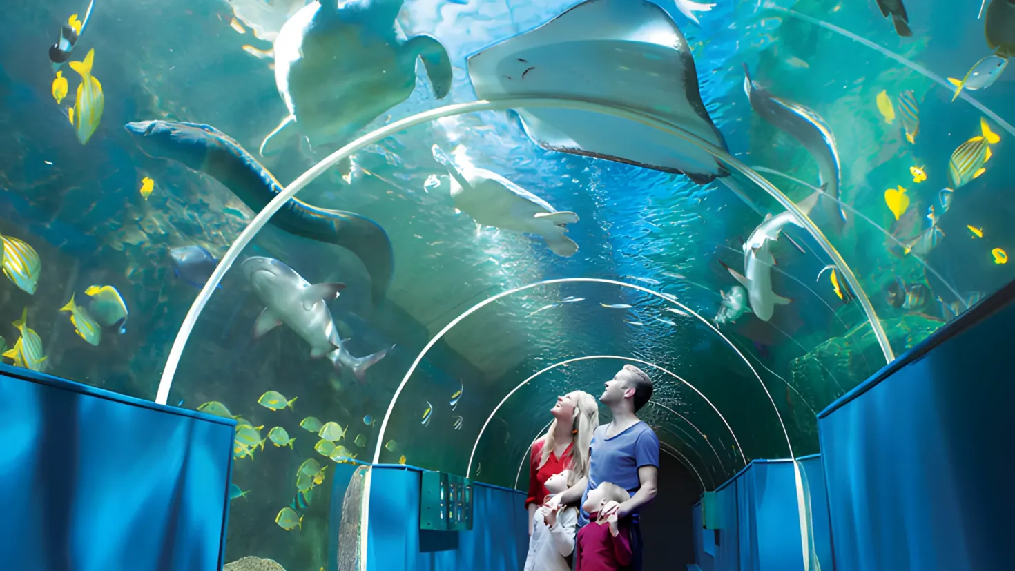 A man and woman standing in front of a large aquarium filled with a variety of colorful fish. The man is holding a baby in his arms, while the woman stands beside him. On either side of the image, there are blue objects, and in the background, there is a wall.
