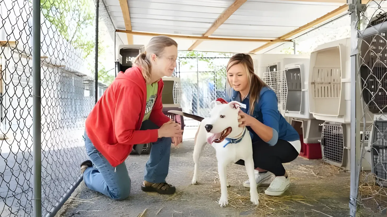 Two women kneeling down next to a white dog in a cage. The woman on the left is wearing a red jacket and blue pants, while the woman in the middle is holding the dog's leash. On the right side of the image, there are several cages, and in the background there are trees and a clear blue sky.