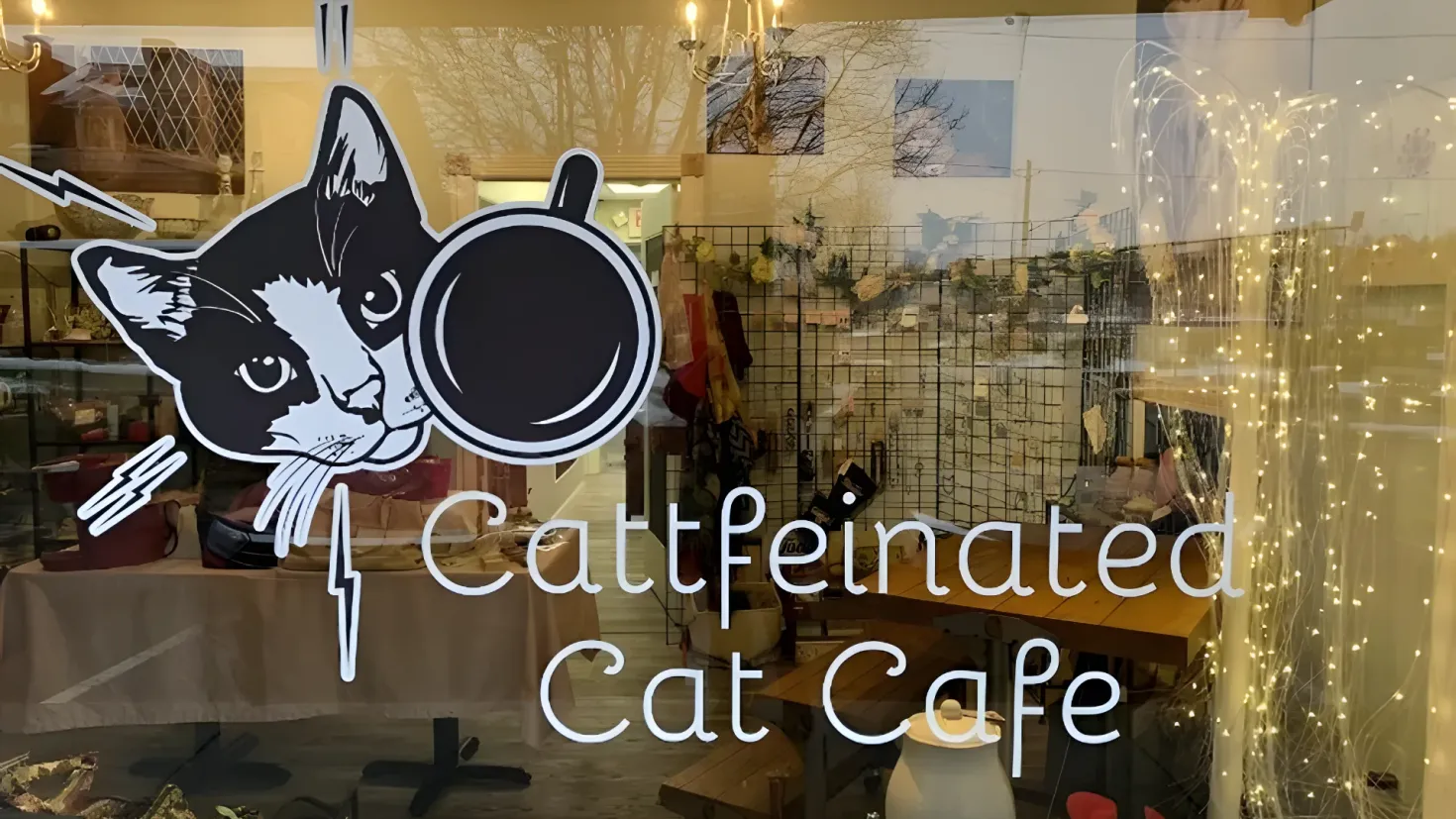 A glass window with a picture of a cat and some text on it. Through the glass, we can see a table with various objects on it, a chair, a stool, and other objects. On the right side of the image, there are decorative lights and a curtain. In the background, there is a wall with a photo frame and a chandelier hanging from the ceiling. The text on the glass reads "4 cat feinated cat cafe".